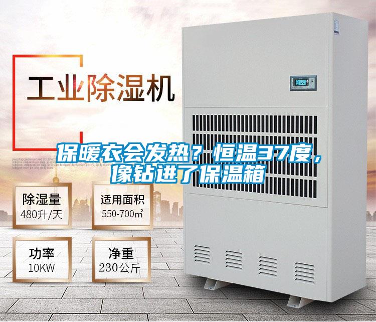 保暖衣會發(fā)熱？恒溫37度，像鉆進(jìn)了保溫箱