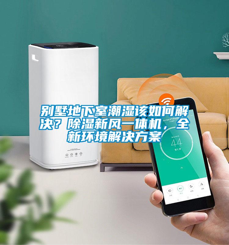別墅地下室潮濕該如何解決？除濕新風(fēng)一體機(jī)，全新環(huán)境解決方案