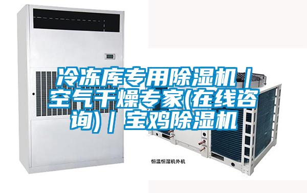 冷凍庫專用除濕機(jī)｜空氣干燥專家(在線咨詢)｜寶雞除濕機(jī)