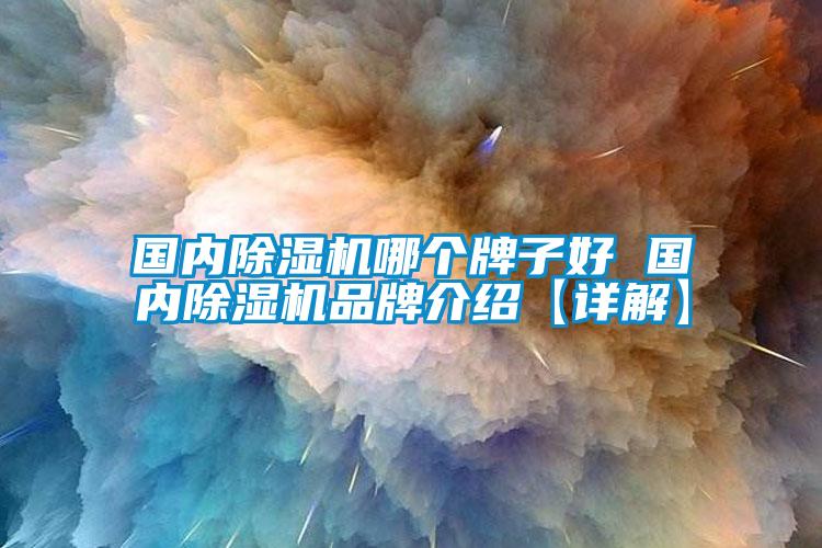國內(nèi)除濕機(jī)哪個牌子好 國內(nèi)除濕機(jī)品牌介紹【詳解】