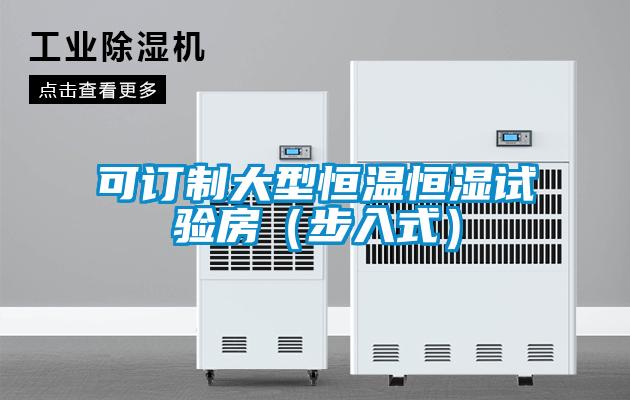 可訂制大型恒溫恒濕試驗房（步入式）