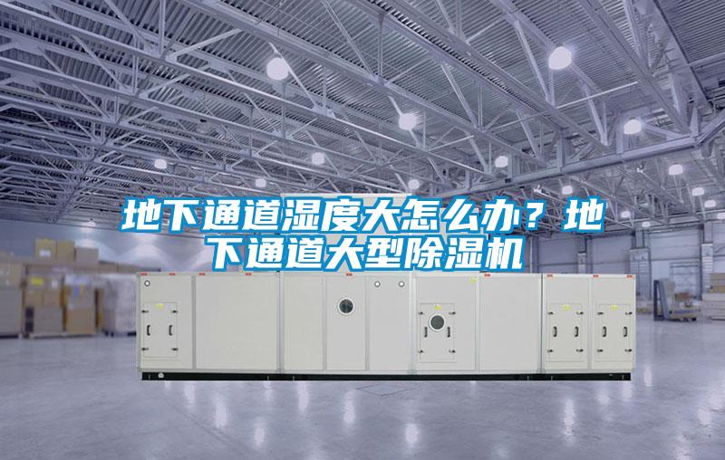地下通道濕度大怎么辦？地下通道大型除濕機(jī)