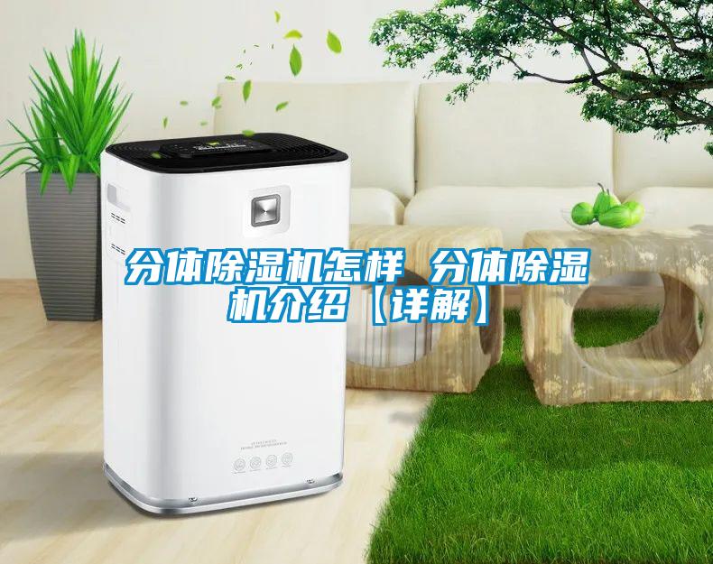 分體除濕機(jī)怎樣 分體除濕機(jī)介紹【詳解】
