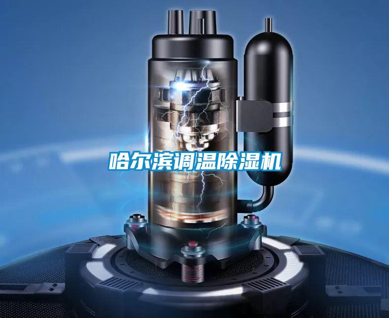 哈爾濱調(diào)溫除濕機(jī)
