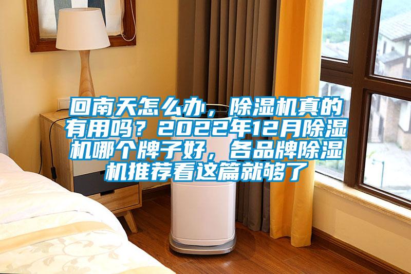 回南天怎么辦，除濕機(jī)真的有用嗎？2022年12月除濕機(jī)哪個牌子好，各品牌除濕機(jī)推薦看這篇就夠了