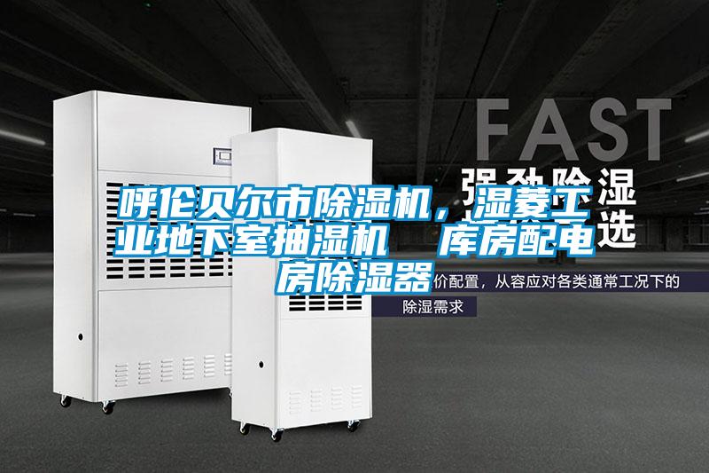 呼倫貝爾市除濕機，濕菱工業(yè)地下室抽濕機  庫房配電房除濕器