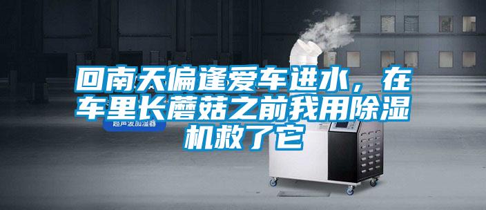 回南天偏逢愛車進(jìn)水，在車?yán)镩L蘑菇之前我用除濕機(jī)救了它
