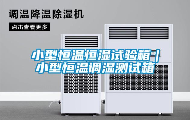小型恒溫恒濕試驗箱｜小型恒溫調(diào)濕測試箱