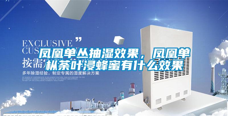 鳳凰單叢抽濕效果，鳳凰單樅荼葉浸蜂蜜有什么效果
