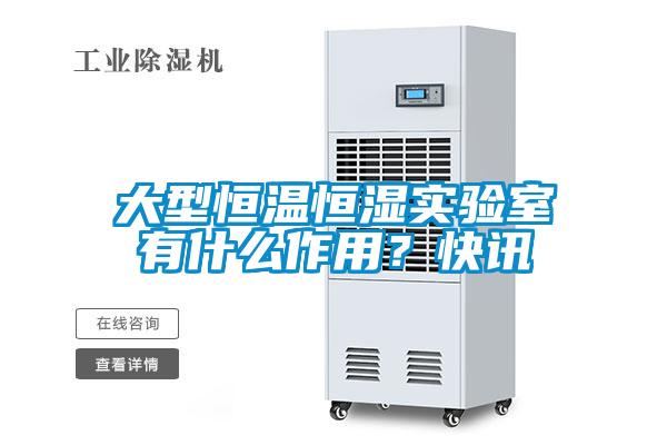 大型恒溫恒濕實(shí)驗(yàn)室有什么作用？快訊