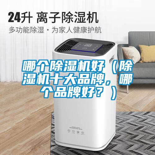 哪個除濕機好（除濕機十大品牌，哪個品牌好？）