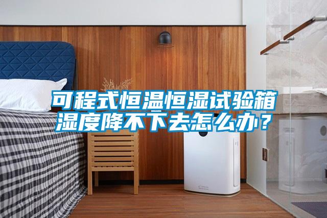 可程式恒溫恒濕試驗(yàn)箱濕度降不下去怎么辦？