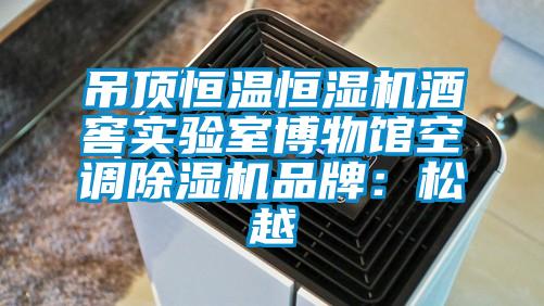 吊頂恒溫恒濕機酒窖實驗室博物館空調(diào)除濕機品牌：松越