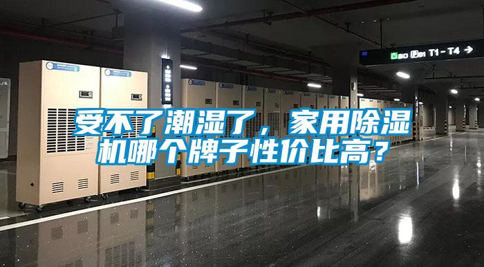 受不了潮濕了，家用除濕機哪個牌子性價比高？