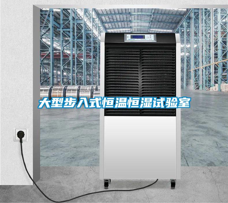 大型步入式恒溫恒濕試驗室
