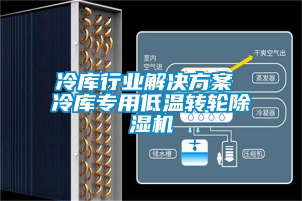 冷庫(kù)行業(yè)解決方案 冷庫(kù)專(zhuān)用低溫轉(zhuǎn)輪除濕機(jī)