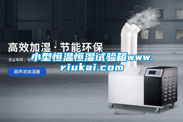 小型恒溫恒濕試驗(yàn)箱www.riukai.com