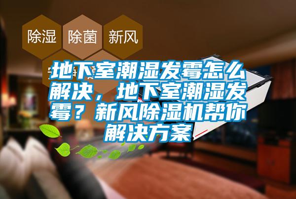 地下室潮濕發(fā)霉怎么解決，地下室潮濕發(fā)霉？新風(fēng)除濕機幫你解決方案