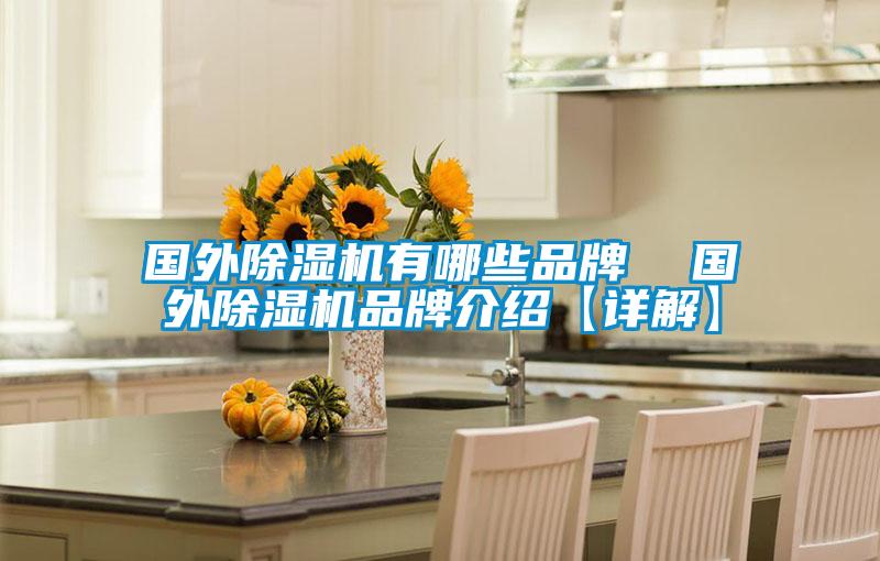 國外除濕機(jī)有哪些品牌  國外除濕機(jī)品牌介紹【詳解】