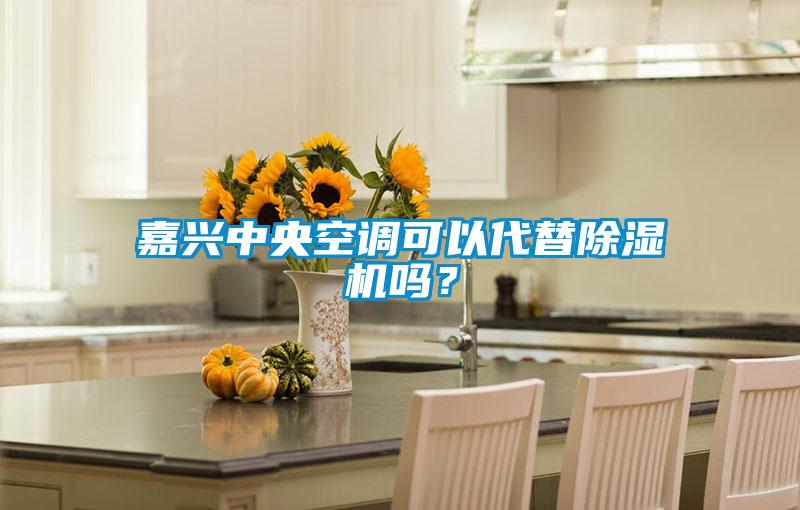 嘉興中央空調(diào)可以代替除濕機(jī)嗎？
