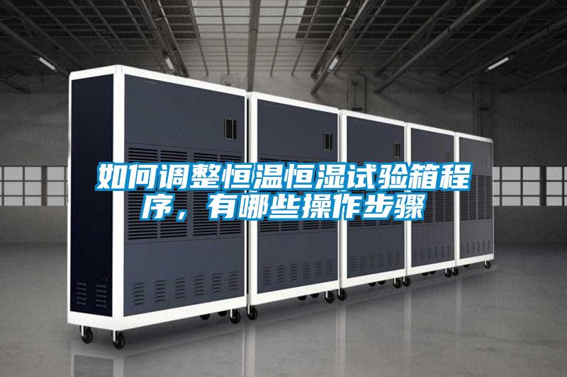 如何調(diào)整恒溫恒濕試驗(yàn)箱程序，有哪些操作步驟