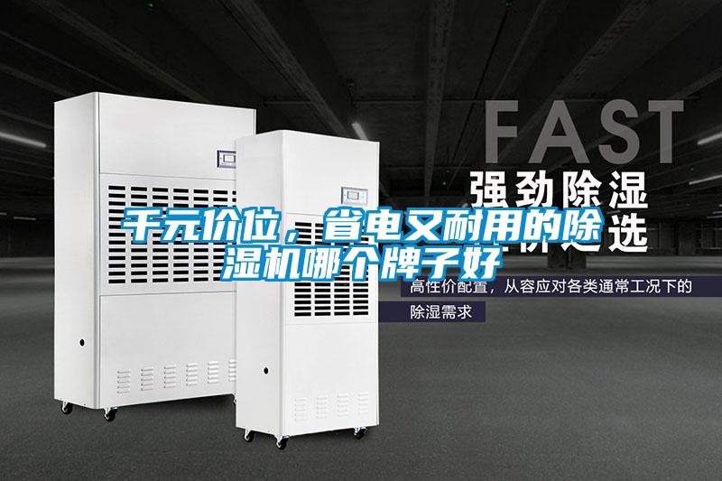 千元價(jià)位，省電又耐用的除濕機(jī)哪個(gè)牌子好