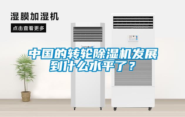 中國的轉輪除濕機發(fā)展到什么水平了？