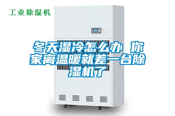 冬天濕冷怎么辦 你家離溫暖就差一臺(tái)除濕機(jī)了