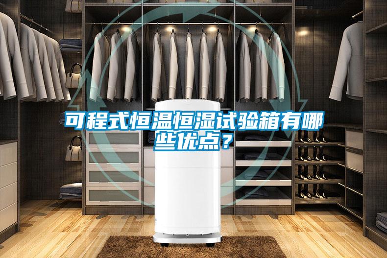 可程式恒溫恒濕試驗(yàn)箱有哪些優(yōu)點(diǎn)？