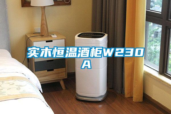 實木恒溫酒柜W230A