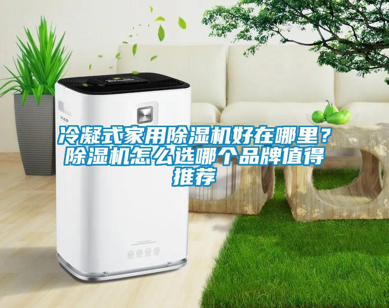 冷凝式家用除濕機(jī)好在哪里？除濕機(jī)怎么選哪個(gè)品牌值得推薦