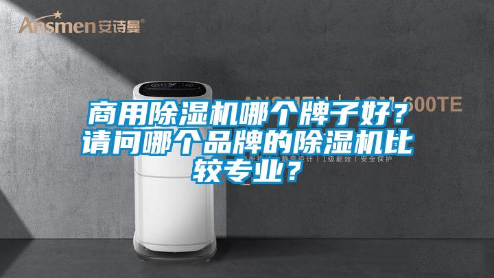 商用除濕機哪個牌子好？請問哪個品牌的除濕機比較專業(yè)？