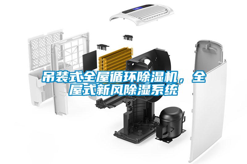 吊裝式全屋循環(huán)除濕機(jī)，全屋式新風(fēng)除濕系統(tǒng)