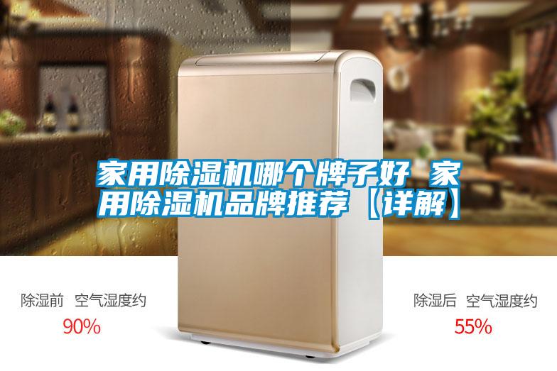 家用除濕機(jī)哪個牌子好 家用除濕機(jī)品牌推薦【詳解】