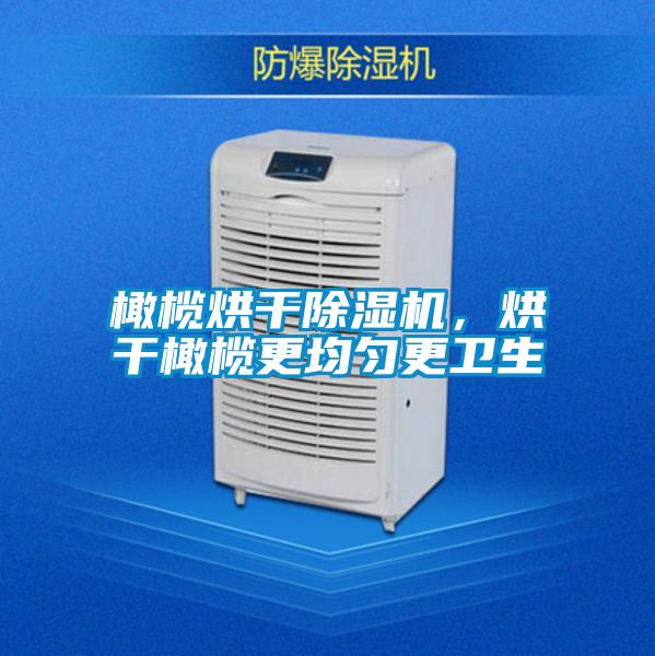 橄欖烘干除濕機，烘干橄欖更均勻更衛(wèi)生