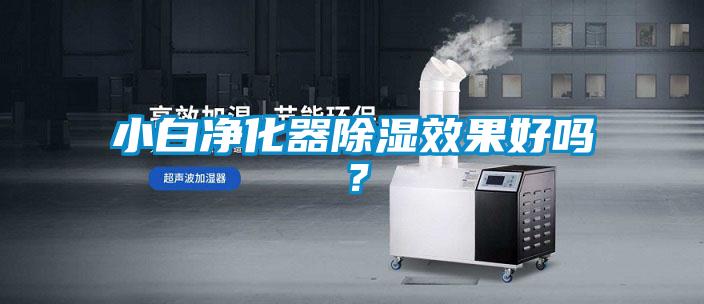 小白凈化器除濕效果好嗎？