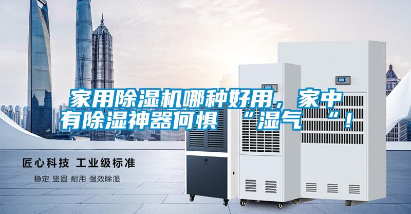 家用除濕機哪種好用，家中有除濕神器何懼 “濕氣 “！