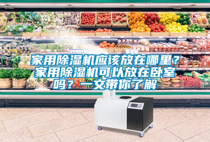 家用除濕機(jī)應(yīng)該放在哪里？家用除濕機(jī)可以放在臥室嗎？一文帶你了解