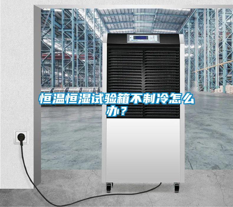 恒溫恒濕試驗箱不制冷怎么辦？