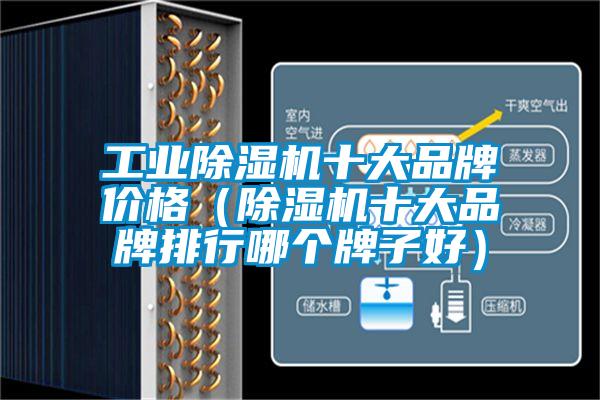 工業(yè)除濕機(jī)十大品牌價(jià)格（除濕機(jī)十大品牌排行哪個(gè)牌子好）