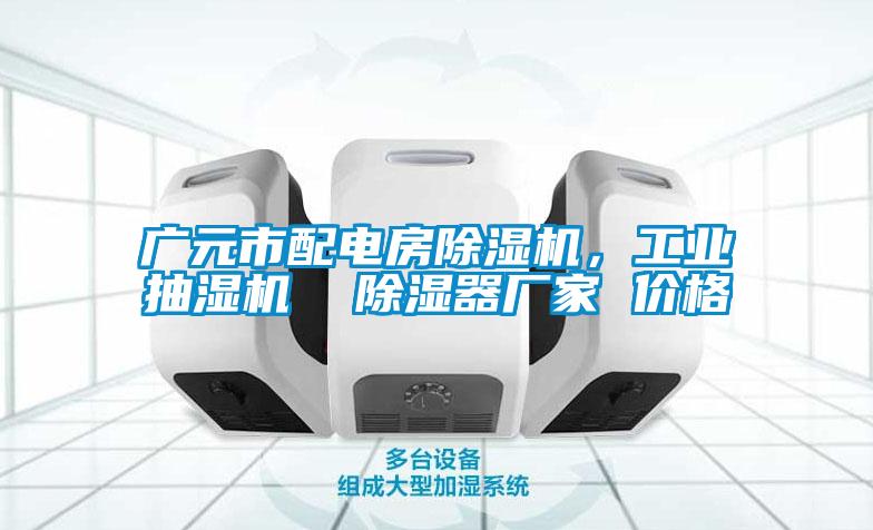廣元市配電房除濕機(jī)，工業(yè)抽濕機(jī)  除濕器廠家 價格