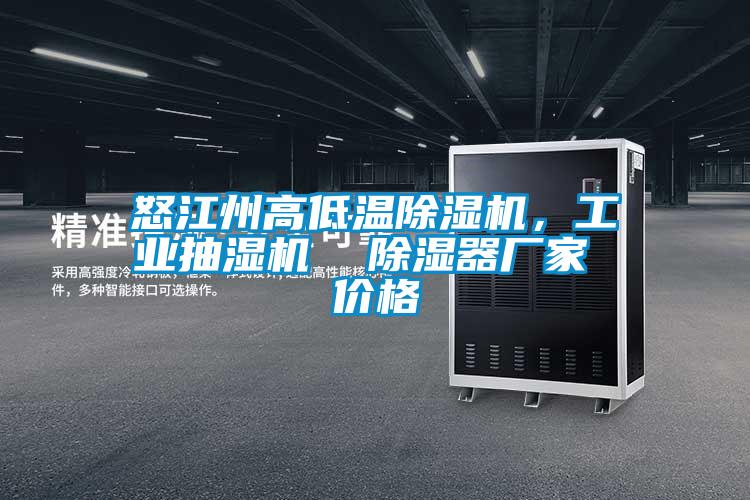 怒江州高低溫除濕機(jī)，工業(yè)抽濕機(jī)  除濕器廠家 價(jià)格