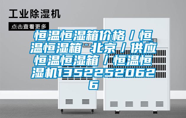 恒溫恒濕箱價(jià)格／恒溫恒濕箱 北京／供應(yīng)恒溫恒濕箱／恒溫恒濕機(jī)13522520626