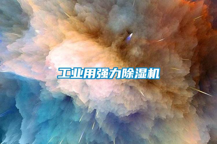 工業(yè)用強(qiáng)力除濕機(jī)