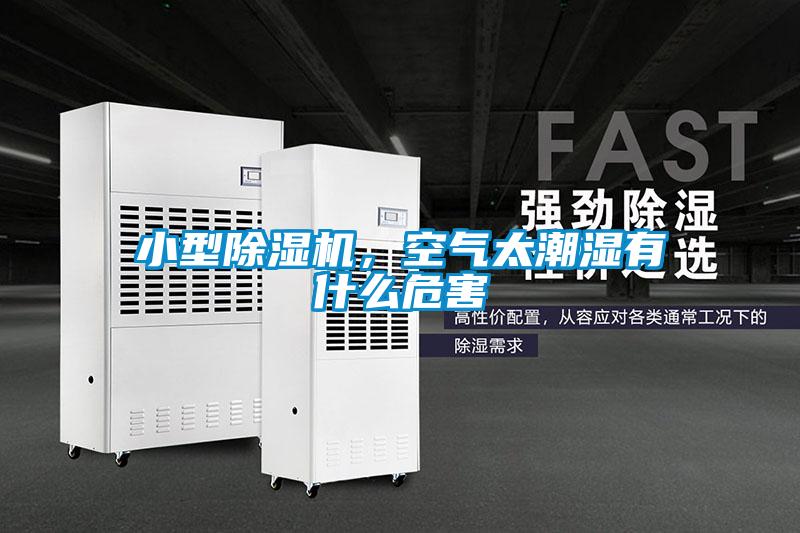 小型除濕機(jī)，空氣太潮濕有什么危害