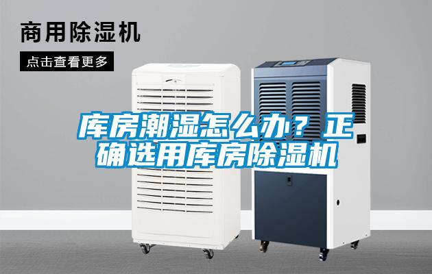 庫房潮濕怎么辦？正確選用庫房除濕機