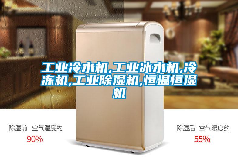 工業(yè)冷水機(jī),工業(yè)冰水機(jī),冷凍機(jī),工業(yè)除濕機(jī),恒溫恒濕機(jī)