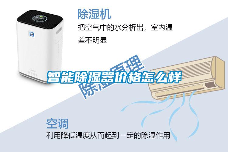 智能除濕器價格怎么樣