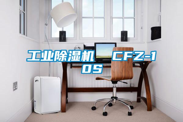 工業(yè)除濕機(jī)  CFZ-10S
