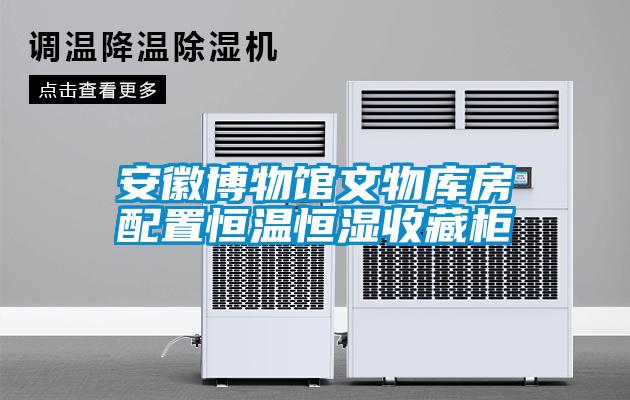 安徽博物館文物庫房配置恒溫恒濕收藏柜